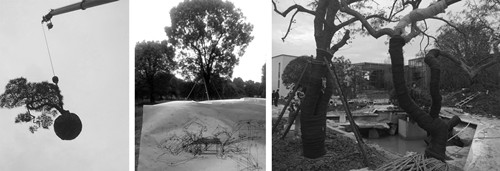 園冶杯專業獎:蘇州紫竹云山墅景觀設計