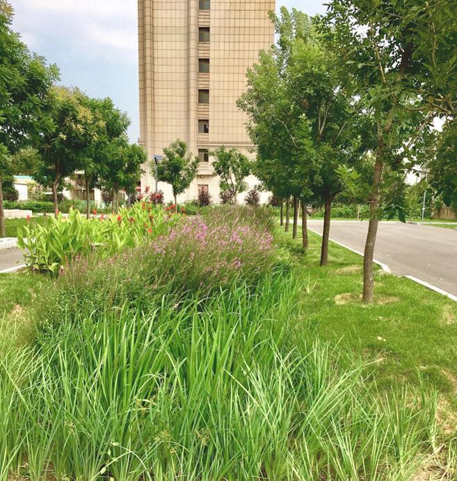 遷安市市政廣場(chǎng)西側(cè)公建區(qū)雨水改造工程