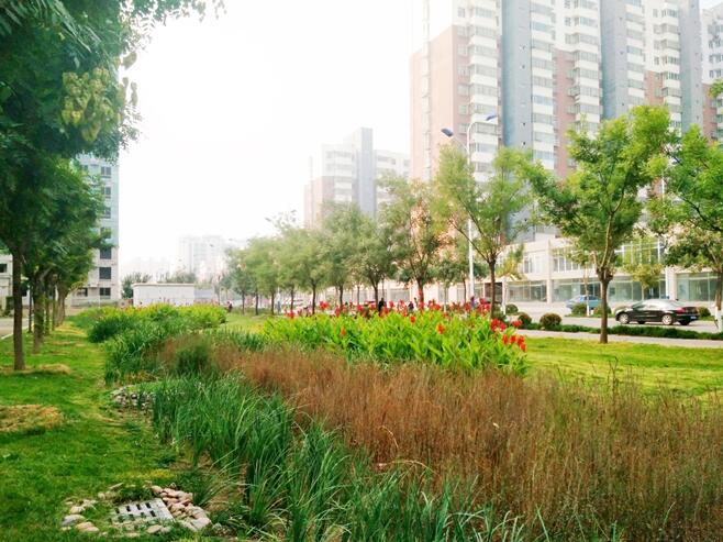 遷安市市政廣場(chǎng)西側(cè)公建區(qū)雨水改造工程