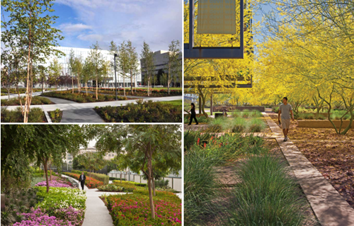 園冶杯專業(yè)獎(jiǎng):固安迎賓大道街角北、南公園