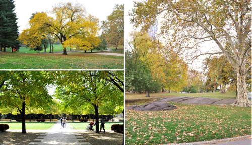 園冶杯專業(yè)獎(jiǎng):固安迎賓大道街角北、南公園