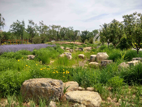 園冶杯專業(yè)獎(jiǎng):固安迎賓大道街角北、南公園
