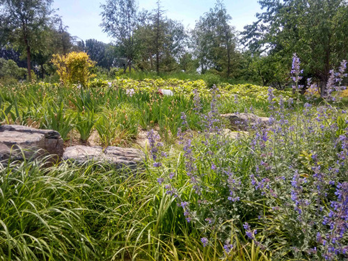 園冶杯專業(yè)獎(jiǎng):固安迎賓大道街角北、南公園