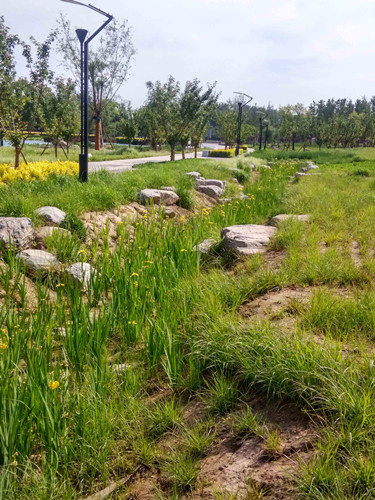 園冶杯專業(yè)獎(jiǎng):固安迎賓大道街角北、南公園