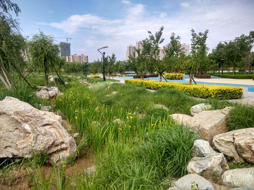 園冶杯專業(yè)獎(jiǎng):固安迎賓大道街角北、南公園