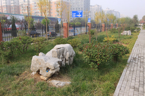 園冶杯專(zhuān)業(yè)獎(jiǎng)：濟(jì)南藝術(shù)學(xué)校海綿城市改造設(shè)計(jì)