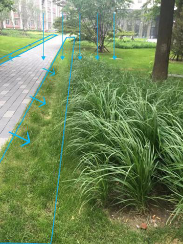 園冶杯專業獎:中航科研綜合樓項目景觀工程