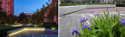 園冶杯專業獎:中航科研綜合樓項目景觀工程