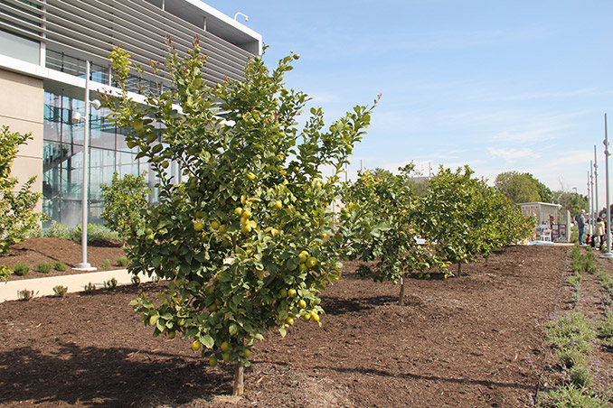 具有不同空間的美國艾西赫拉公園
