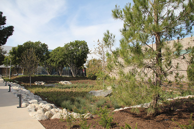 具有不同空間的美國艾西赫拉公園
