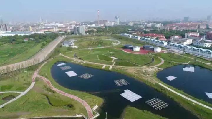 魔都這個23萬平濕地公園，本周末起免費開放