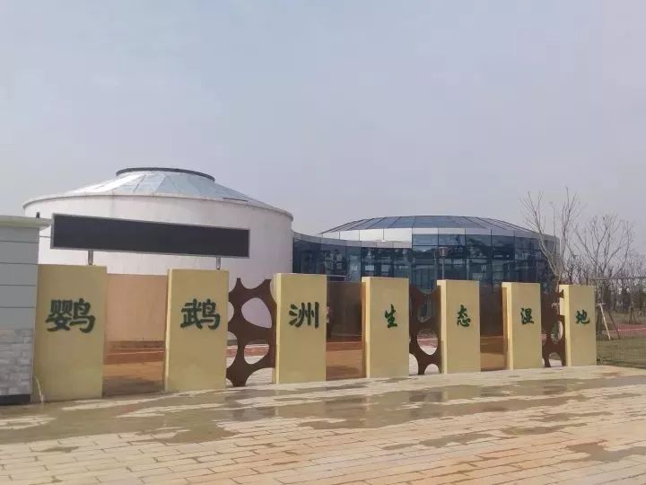 魔都這個23萬平濕地公園，本周末起免費開放