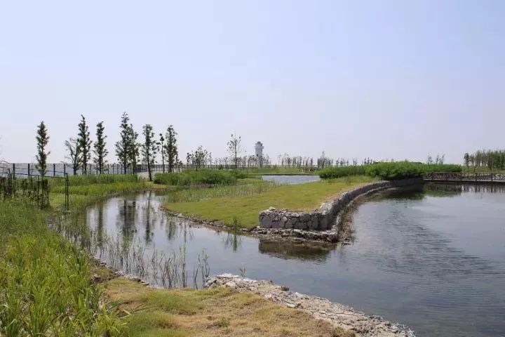 魔都這個23萬平濕地公園，本周末起免費開放