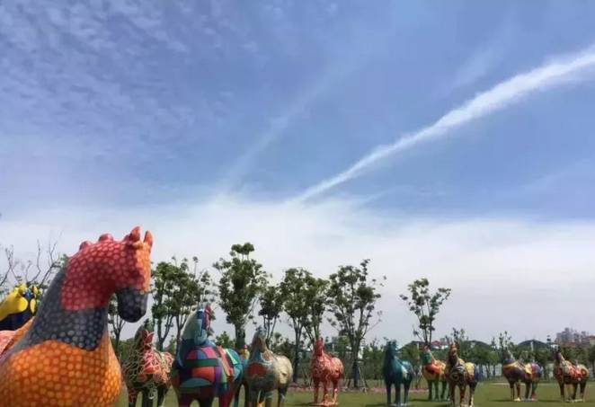 魔都這個23萬平濕地公園，本周末起免費開放