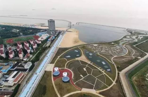 魔都這個23萬平濕地公園，本周末起免費開放