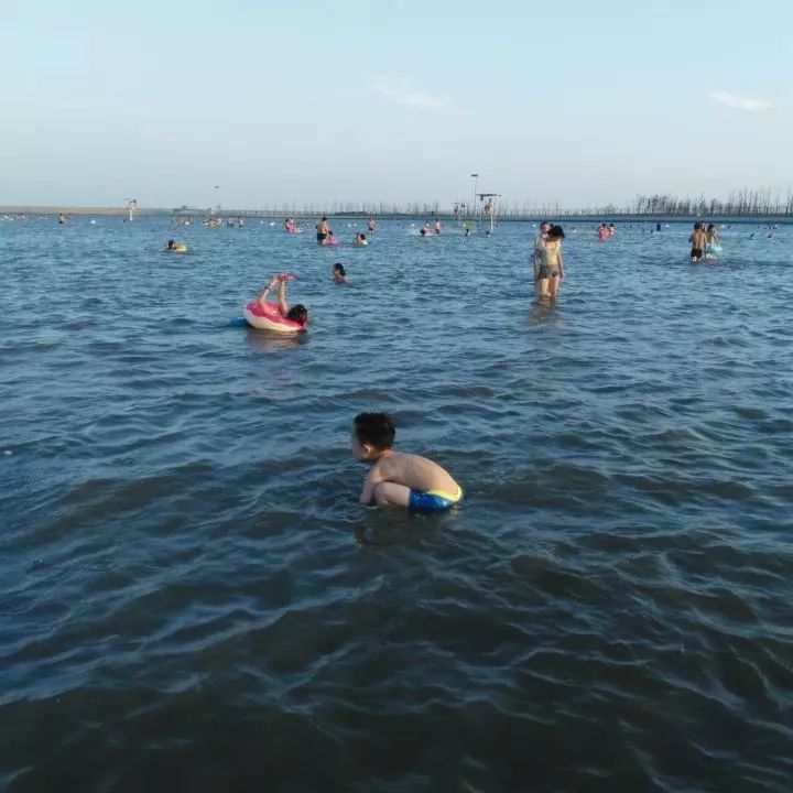 魔都這個23萬平濕地公園，本周末起免費開放