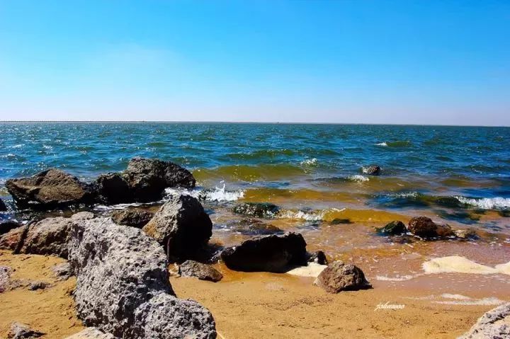 魔都這個23萬平濕地公園，本周末起免費開放