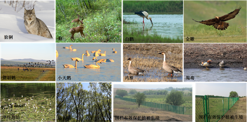 園冶杯專業獎:額爾古納濕地公園總體規劃