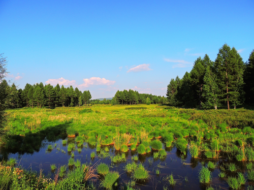 園冶杯專業獎:額爾古納濕地公園總體規劃