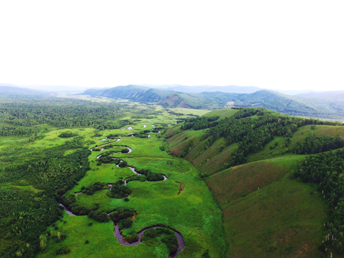 園冶杯專業獎:額爾古納濕地公園總體規劃