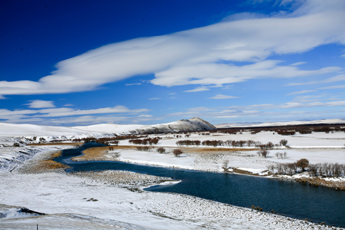 園冶杯專業獎:額爾古納濕地公園總體規劃