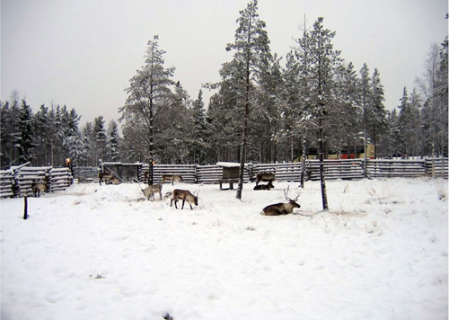 園冶杯專業獎:額爾古納濕地公園總體規劃