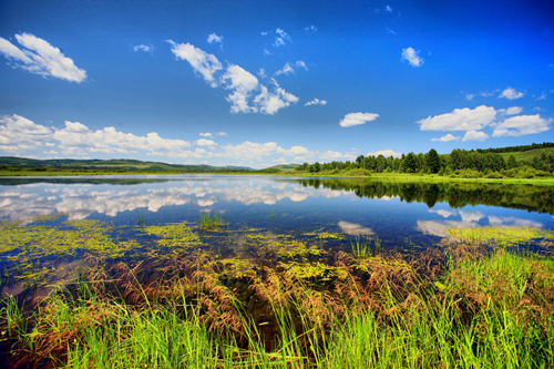 園冶杯專業獎:額爾古納濕地公園總體規劃