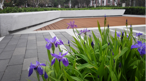 園冶杯專業獎:中航科研綜合樓項目景觀工程