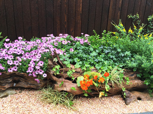 園冶杯專業(yè)獎(jiǎng)：第九屆江蘇省園博會(huì)南通展園