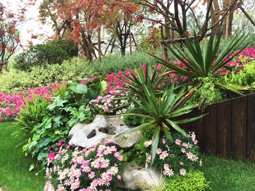 園冶杯專業(yè)獎(jiǎng)：第九屆江蘇省園博會(huì)南通展園