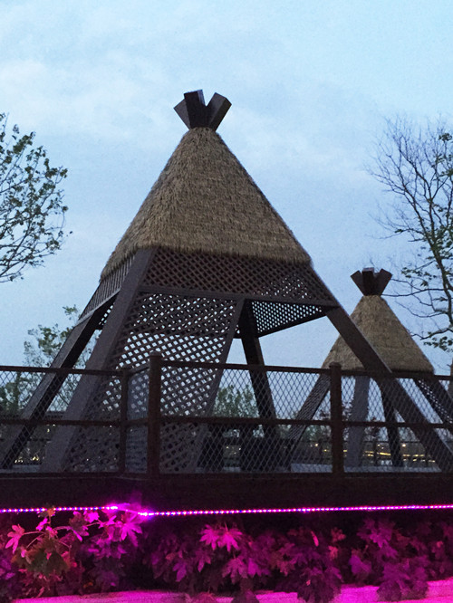 園冶杯專業(yè)獎(jiǎng)：第九屆江蘇省園博會(huì)南通展園