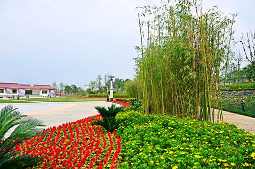 園冶杯專業獎:貴州小城鎮發展大會主會場