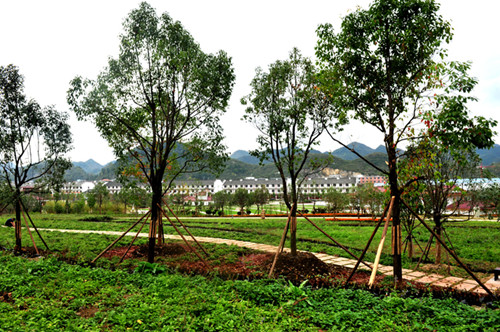 園冶杯專業獎:貴州小城鎮發展大會主會場