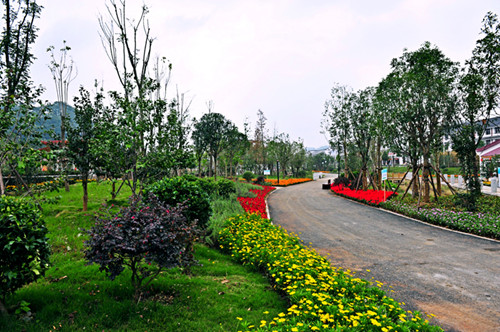 園冶杯專業獎:貴州小城鎮發展大會主會場