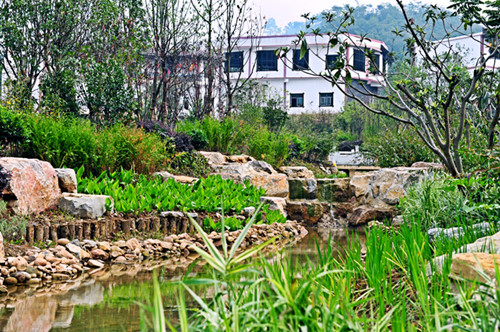 園冶杯專業獎:貴州小城鎮發展大會主會場