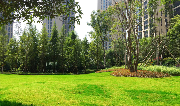 晟通?梅溪湖國際總部中心(一期)園林景觀工程