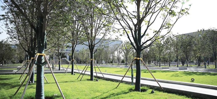 園冶杯專(zhuān)業(yè)獎(jiǎng)：西安浐灞生態(tài)區(qū)商務(wù)中心景觀設(shè)計(jì)