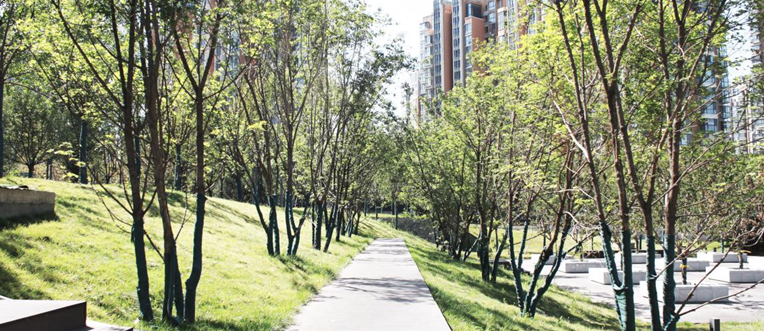 園冶杯專(zhuān)業(yè)獎(jiǎng)：西安浐灞生態(tài)區(qū)商務(wù)中心景觀設(shè)計(jì)