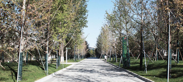 園冶杯專(zhuān)業(yè)獎(jiǎng)：西安浐灞生態(tài)區(qū)商務(wù)中心景觀設(shè)計(jì)