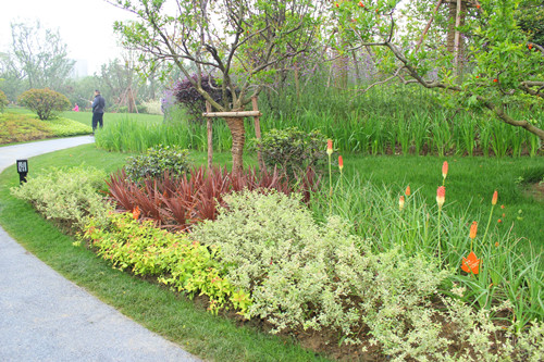 園冶杯專業(yè)獎(jiǎng)：第九屆江蘇省園博會(huì)南通展園