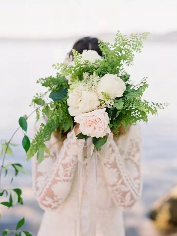 蕨類植物的花藝美學(xué)