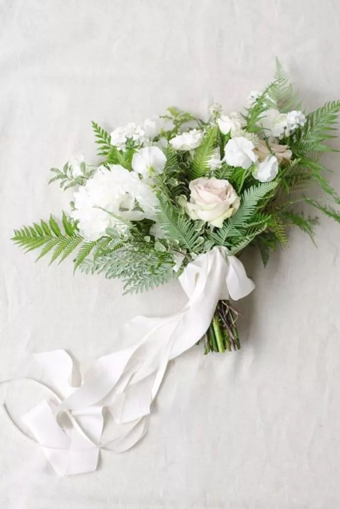 蕨類植物的花藝美學(xué)