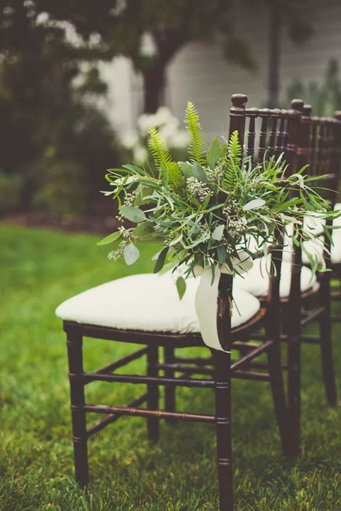 蕨類植物的花藝美學(xué)