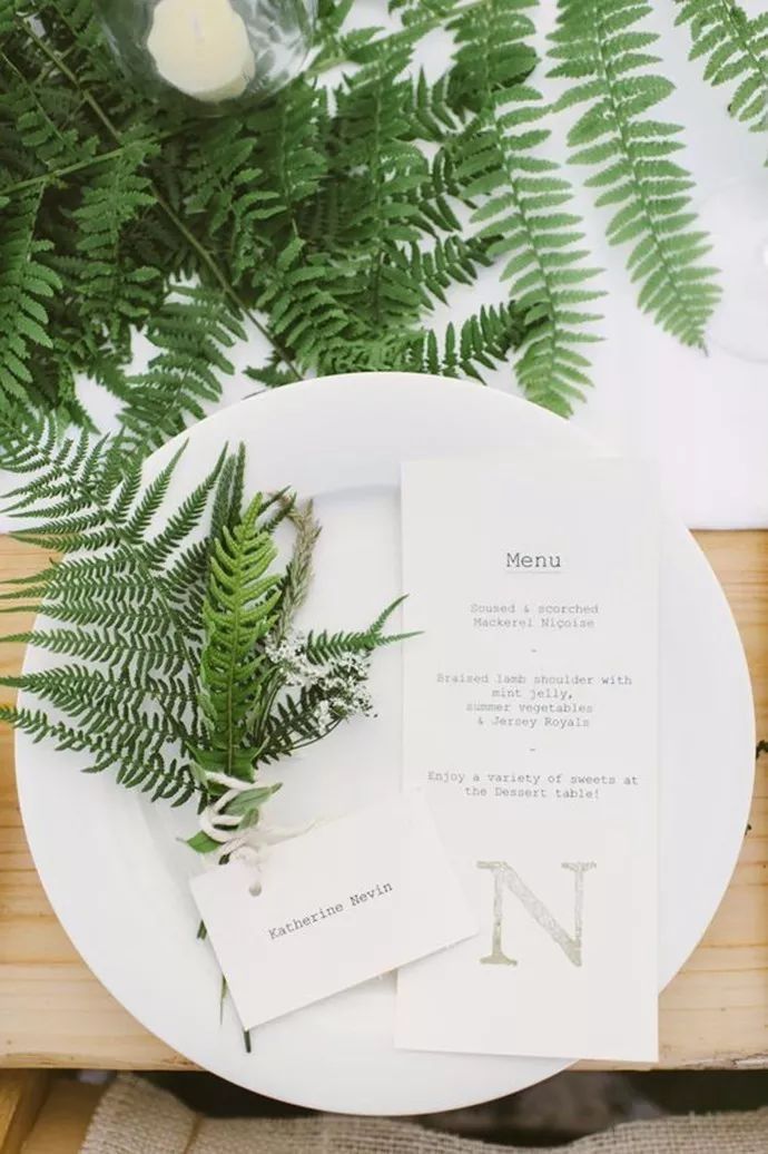 蕨類植物的花藝美學(xué)