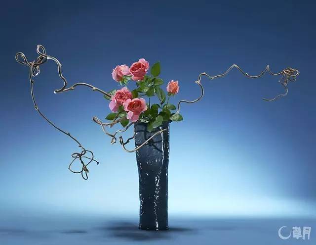 中式、日式、西式插花,最大的區別是什么?