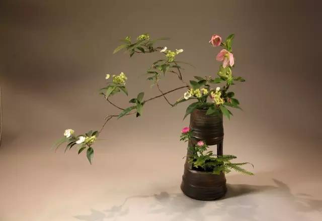 中式、日式、西式插花,最大的區別是什么?