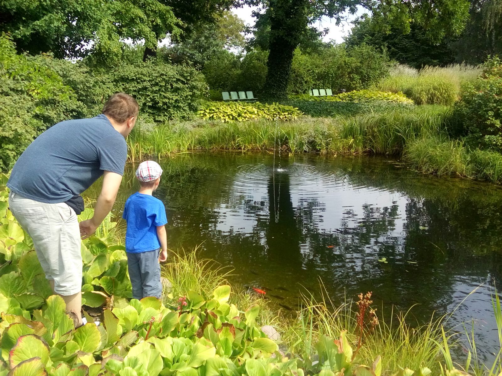 園林中五個最小的排水系統