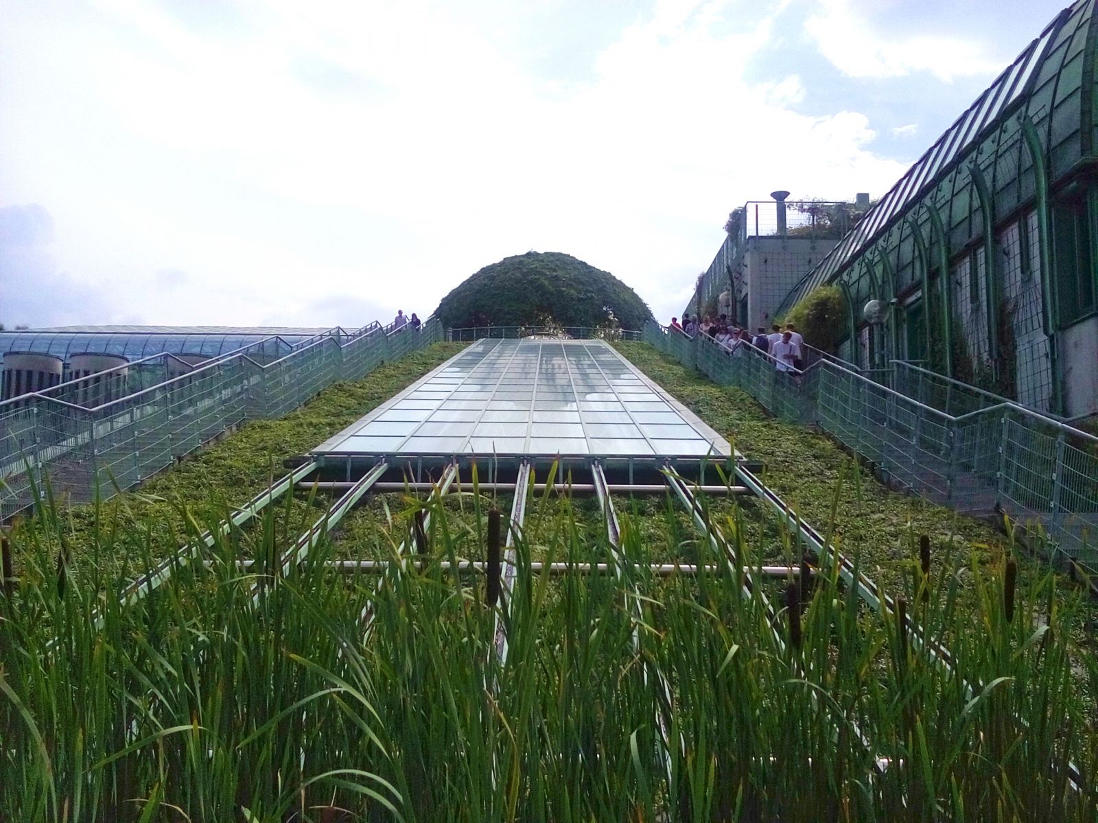 園林中五個最小的排水系統