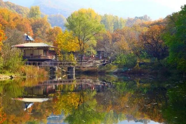 來(lái)大楊山國(guó)家森林公園邂逅真正的秋天