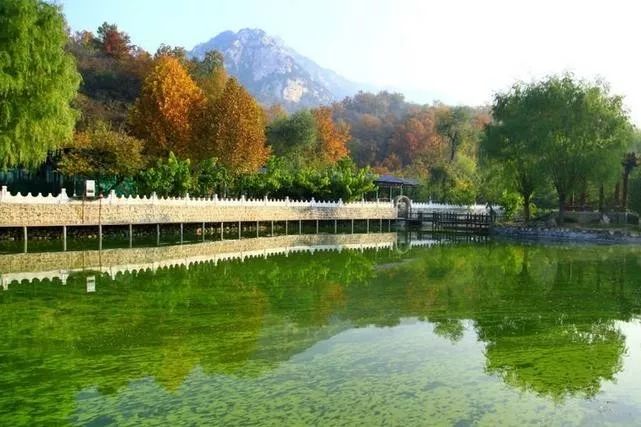 來(lái)大楊山國(guó)家森林公園邂逅真正的秋天